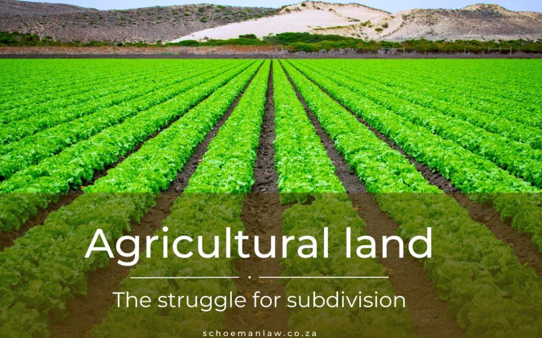 Agricultural-Land-The-Struggle-For-Subdivision