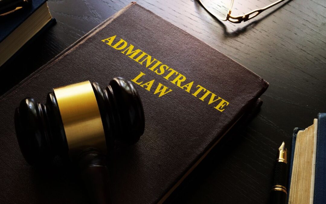 Grounds and avenues of review in administrative law: Understanding the rules and paths for scrutinising administrative action