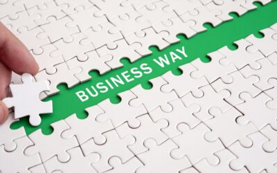 Is Your Business Legally Accountable? A Look at SA Company Law
