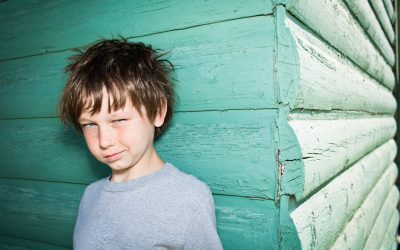 The Legal Framework: The Child’s Best Interests as the Paramount Consideration