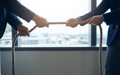 When Co-Ownership Becomes Unworkable: The Actio Communi Dividundo in South African Law