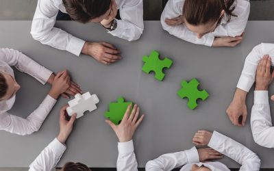 Dealing with Disputes Amongst the Trustees of a Testamentary Trust