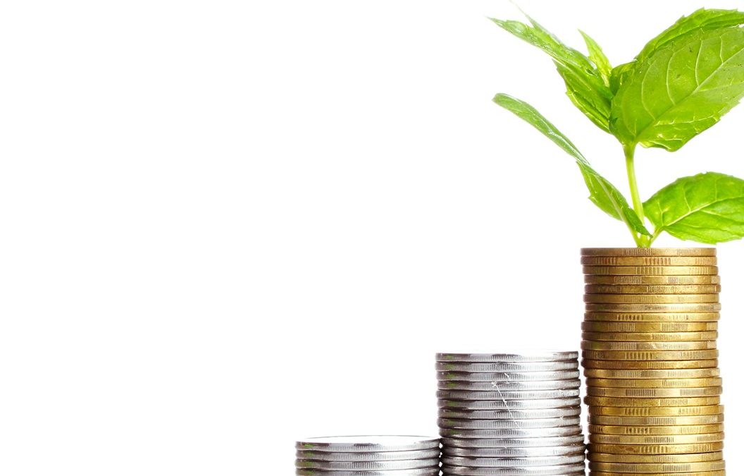 Financial Inclusion: An Ideal Global Financial System