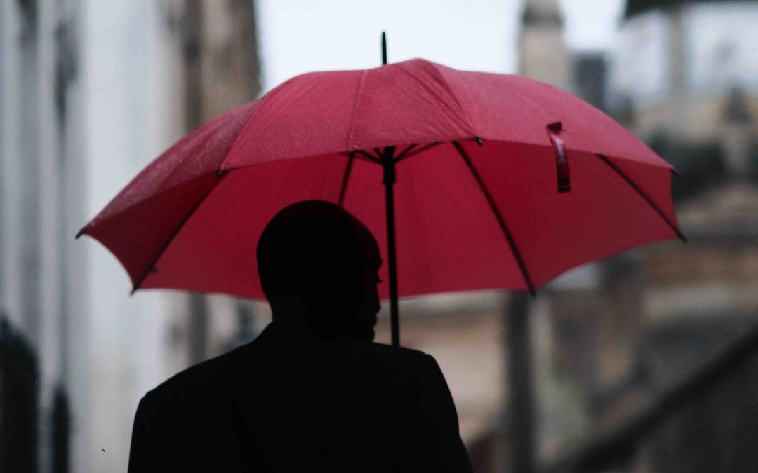 A Brief Look at the Process of a Protection Order Application