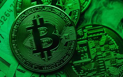 BITCOIN in South Africa: Opportunities and Challenges