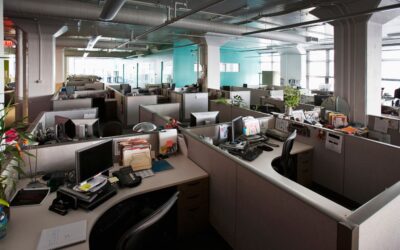 Recent Trends in Employment Litigation in South Africa